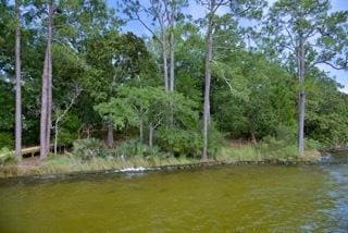 Building Photo - 631 Nelson Point Rd