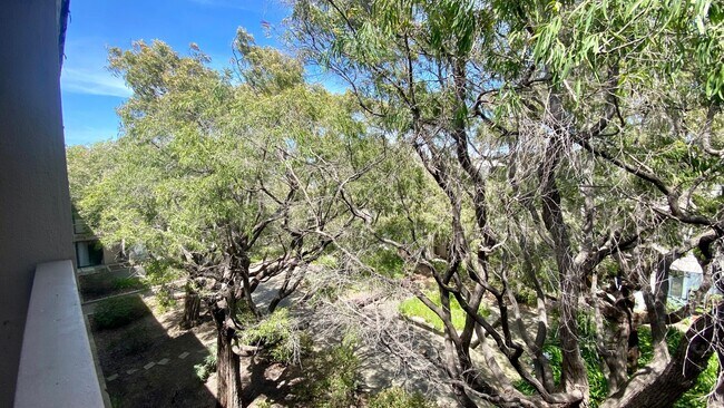 Building Photo - Top-floor Studio at Watergate