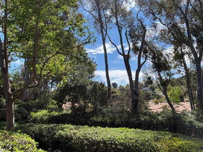 Building Photo - 8860 Villa La Jolla Dr