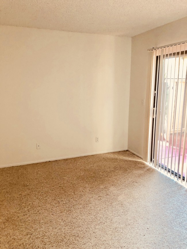 Downstairs Second Bedroom - 13303 Broadhurst Loop