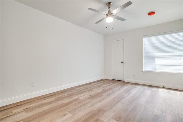 Building Photo - 10634 Pagewood Dr
