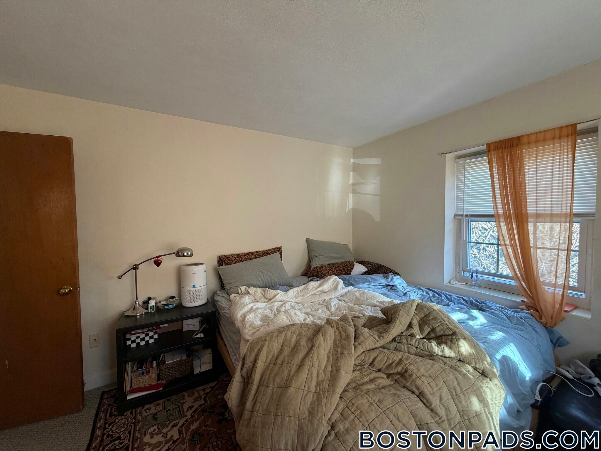 Building Photo - 8 Brattle Dr