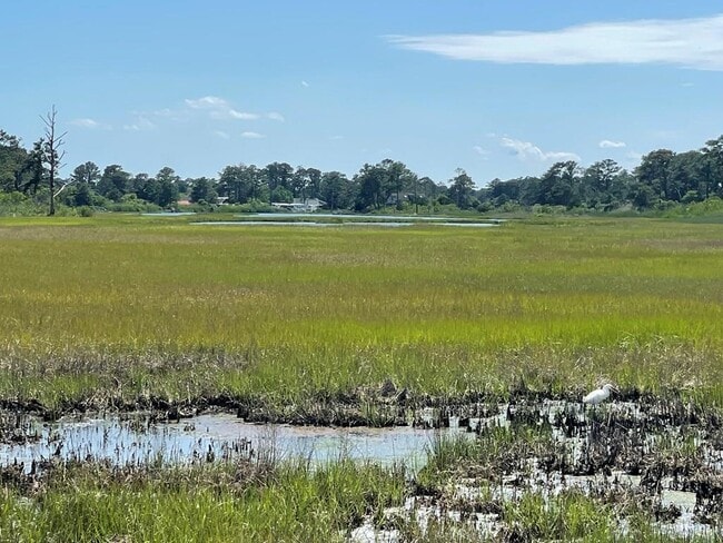 Building Photo - 7195 Bunting Rd