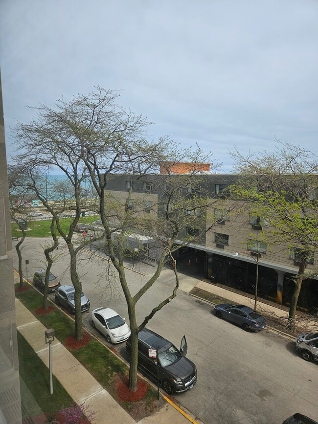 Building Photo - 4800 S Chicago Beach Dr