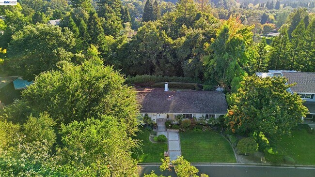 Building Photo - 2402 Royal Oaks Dr