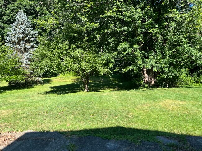 Building Photo - 42 Prospect St