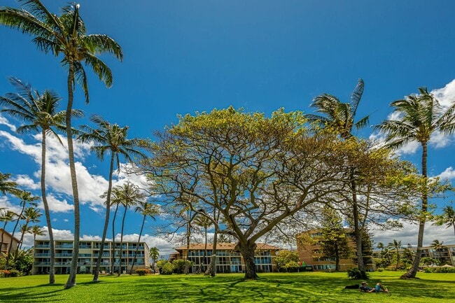 Building Photo - Oceanfront 1 Bed/1 Bath Fully Furnished Condo at Waipuilani!