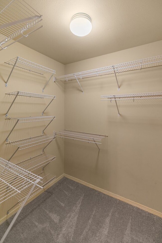 Building Photo - Cute 4 Bed 2 Bath Home in Bentonville School District