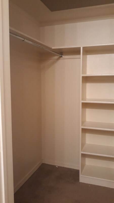 Building Photo - 2021 Plum Creek Ln