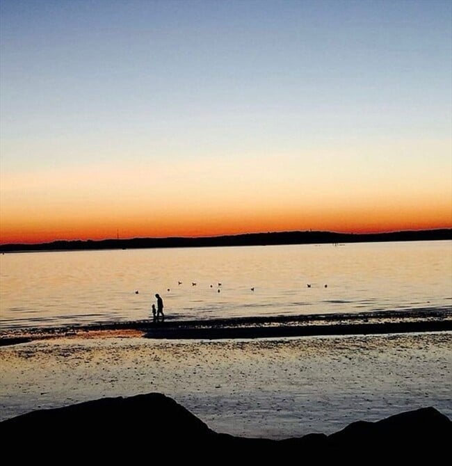 Building Photo - 39 Castle Rd