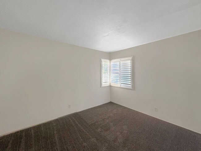 Building Photo - Spacious Oceanside Retreat with Pool, Spa,...