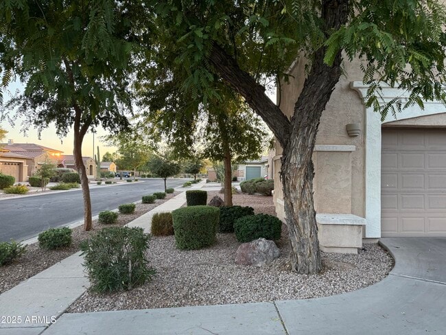 Building Photo - 642 E Torrey Pines Pl
