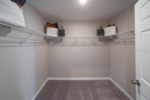Building Photo - 1298 Wispy Cypress Dr