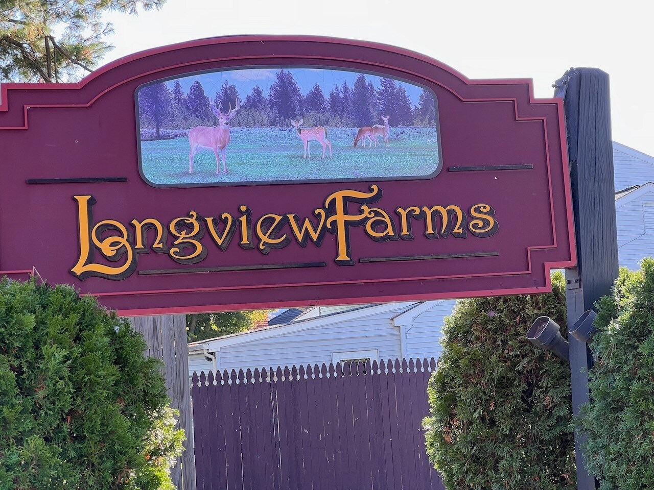 Building Photo - 918 Rockwell Rd