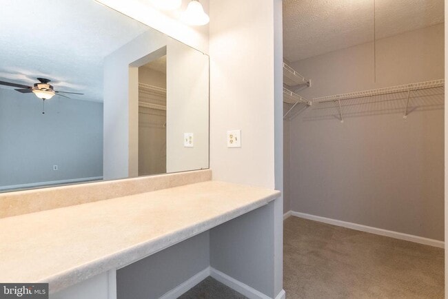 Building Photo - 3348 Raccoon Ct