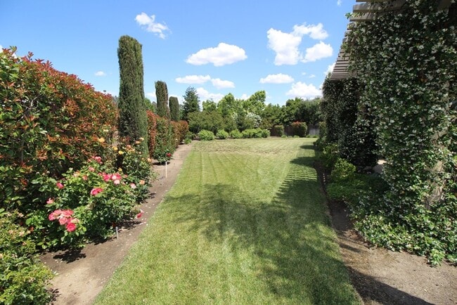 Building Photo - Beautiful Home in Buchanan District + Large Yard