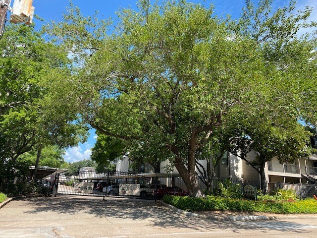 Building Photo - 1100 Augusta Dr