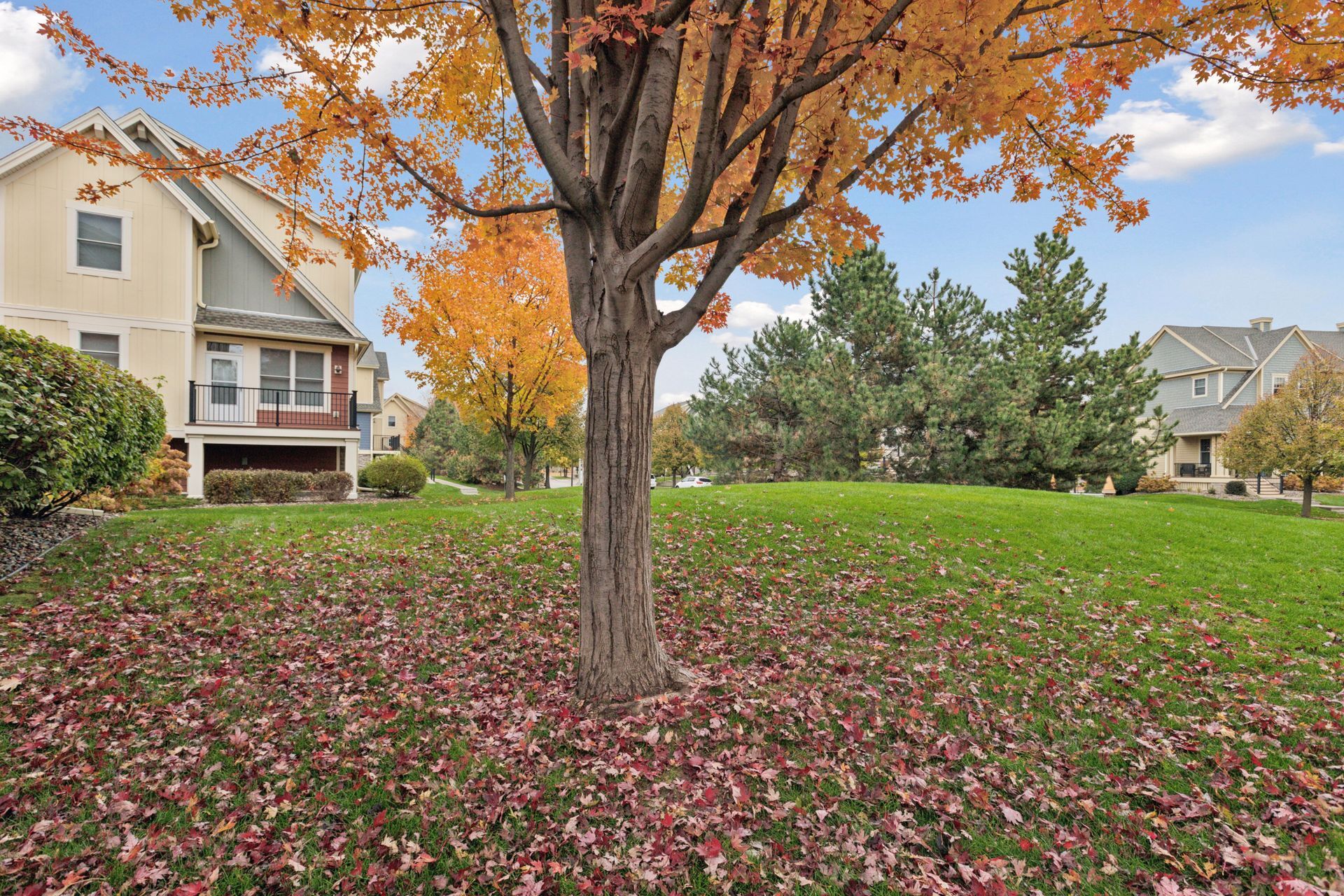Building Photo - 10749 Falling Water Ln