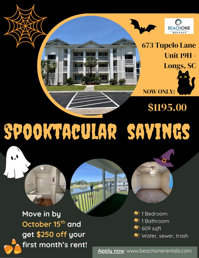 Primary Photo - **SPOOKTACULAR SAVINGS!** Longs - 1 Bedroo...