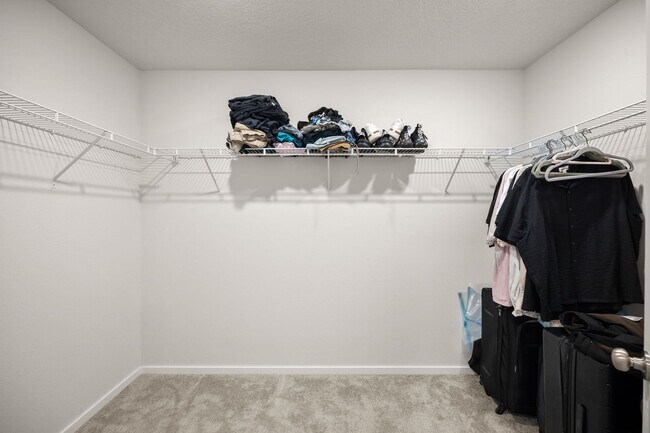 Building Photo - Beautiful 2022 Built Home With Views!