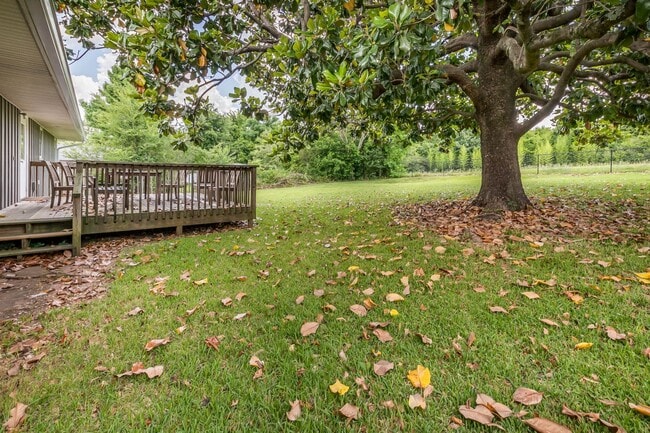 Building Photo - Fall '24 - Close to campus - 3 bed/2 bath ...