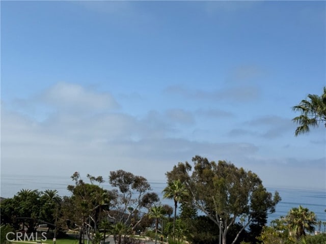 Building Photo - 30802 S Coast Hwy