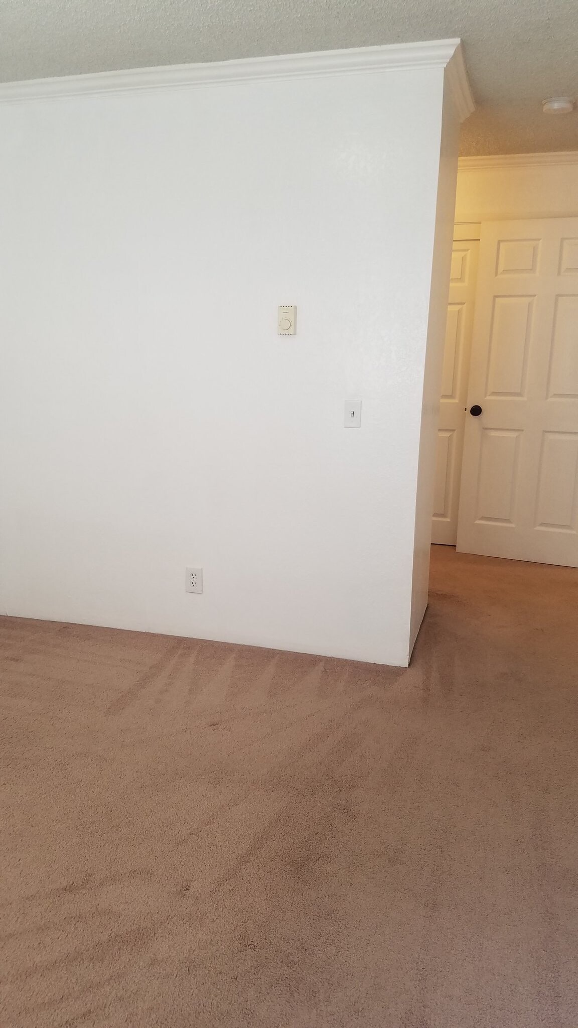 Building Photo - 1533 El Tigre Ct