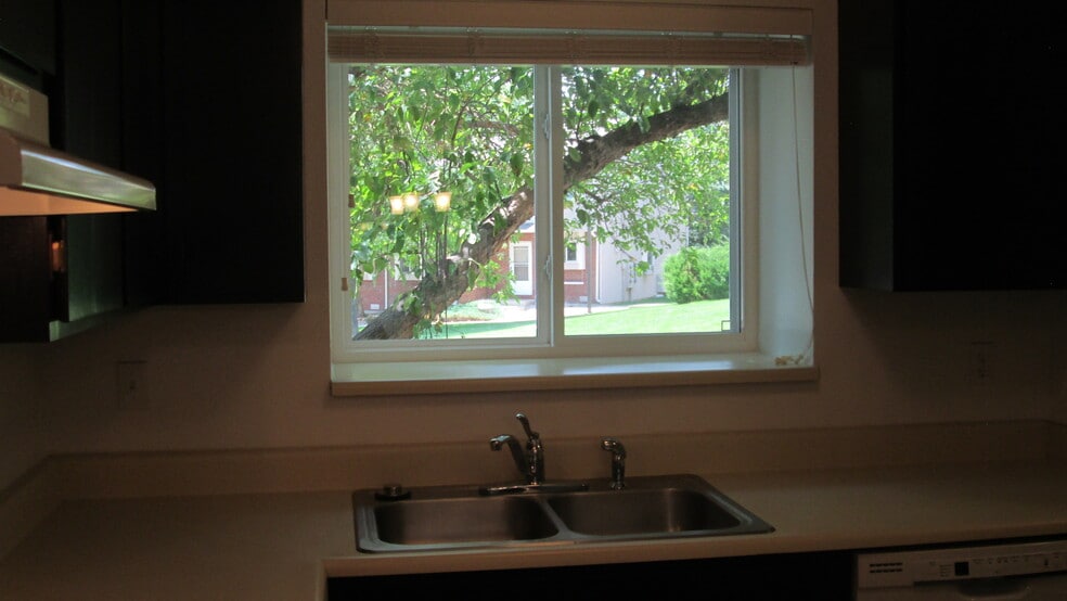 Kitchen: Window box over the sink - 1440 Edora Rd