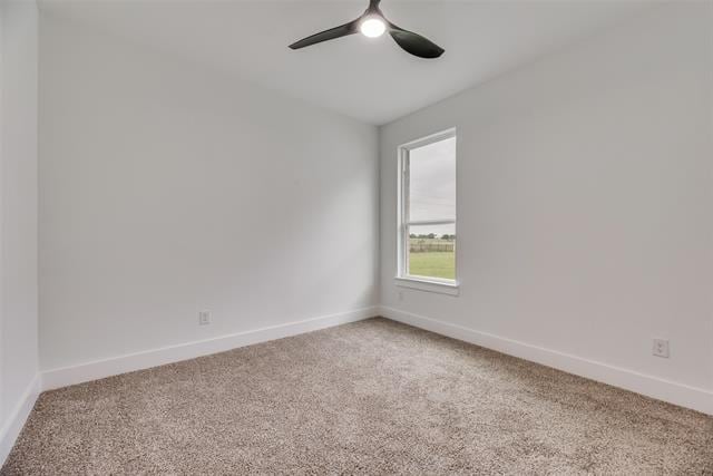 Building Photo - 1008 St Matthews Cir