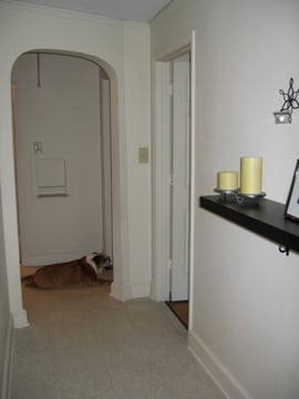 Building Photo - 1014 Guilford Avenue