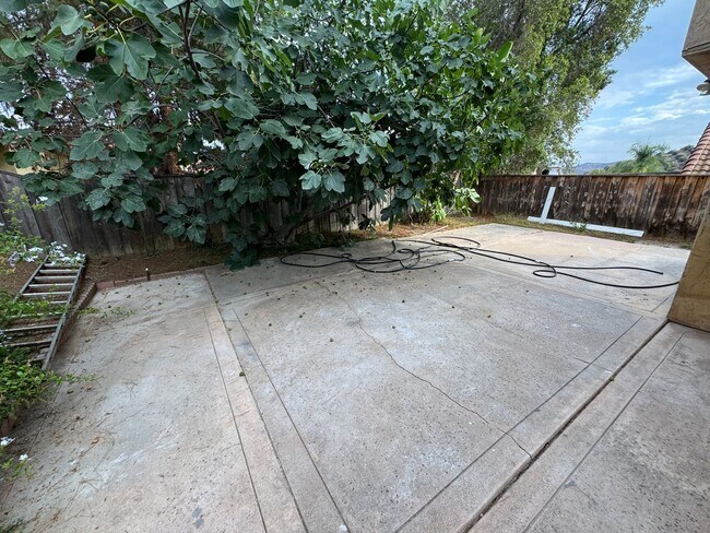Building Photo - Beautiful 4 Bedroom in Rancho San Diego