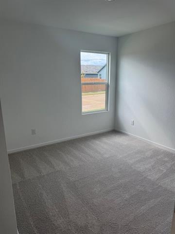 Building Photo - 3121 Burmese St