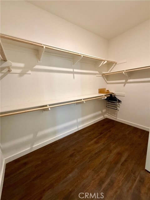 Building Photo - 4962 S Starry Night Ln