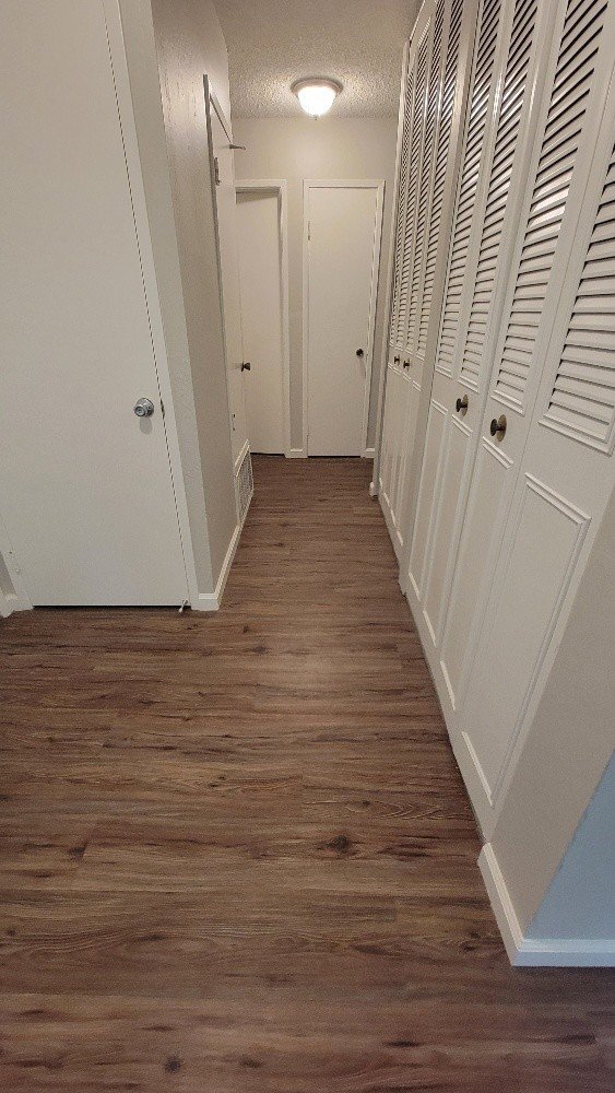 Building Photo - Wonderful and newly updated 3 bedroom 2 ba...