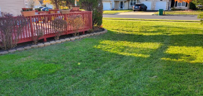 Building Photo - 1181 Cobblestone Cir