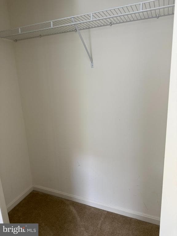 Building Photo - 1818 Cassandra Dr