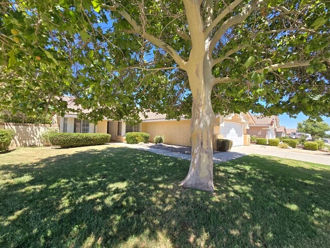 Building Photo - 4375 Portola Dr