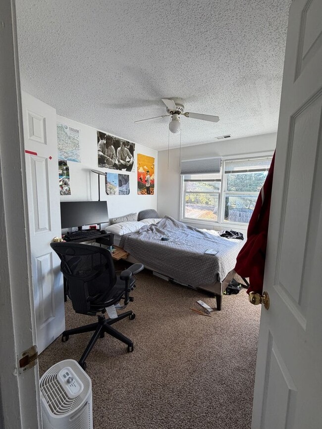 Building Photo - 3 Bed/3.5 Bath House with huge basement!