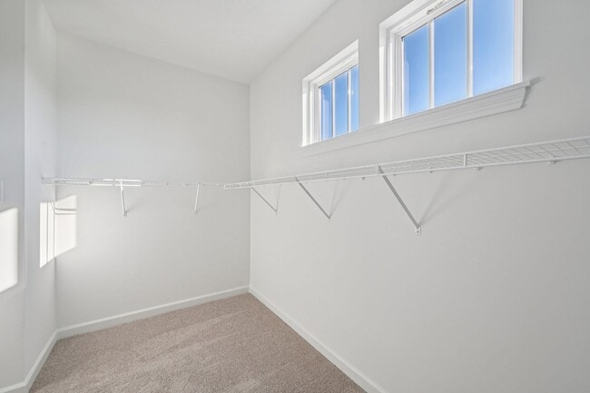 Building Photo - 2686 Prism Wy