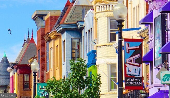 Building Photo - Spacious Adams Morgan Gem with Gas FP