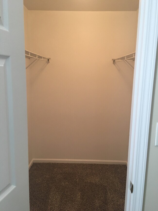 Bedroom 2 Walk-In Closet - 1225 Centipede Dr
