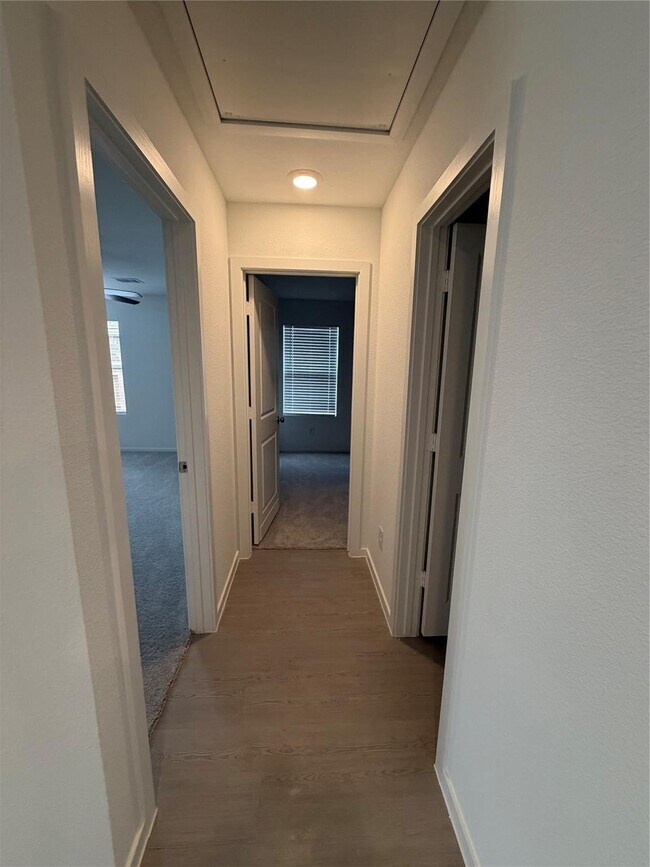 Building Photo - 29027 Great Flatland Trl