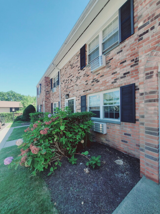 Building Photo - 151 Courtland Ave