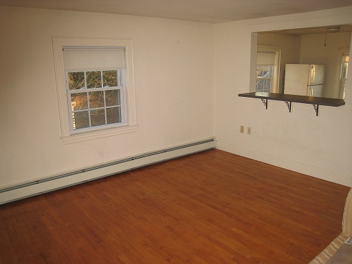 Living room - 870 Woodbury Ave