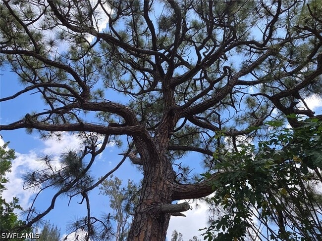 Building Photo - 2103 Unity Ave