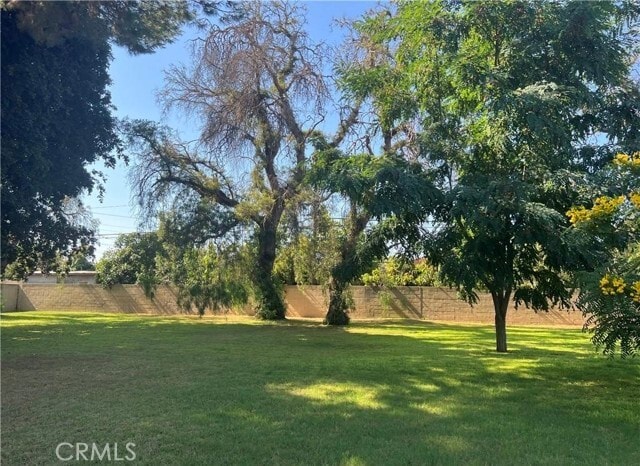 Building Photo - 8541 Orangewood Ave