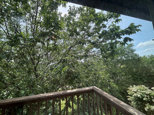 Building Photo - Luxury Home with incredible views in Minsh...