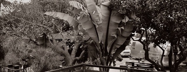 lush layers - 11818 Pacific Ave