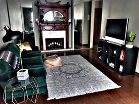 Cozy living room with faux fire place & built-in storage closets on both sides - 333 8th St SE