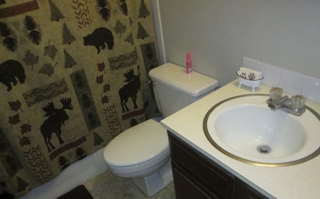 Building Photo - 3 bed, 1.5 bath duplex in Fort Collins